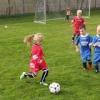 Fotbal mini - mistrák Řepín