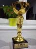 Halový turnaj ročníků 2010 a mladších (26.2., Brozany nad Ohří)